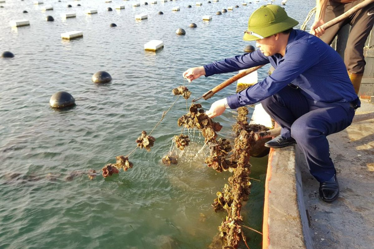 Cơ hội tìm việc làm thủy sản cho sinh viên mới ra trường